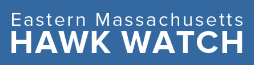 Eastern Massachusetts Hawk Watch